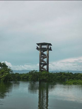Ratargul Swamp Forest 