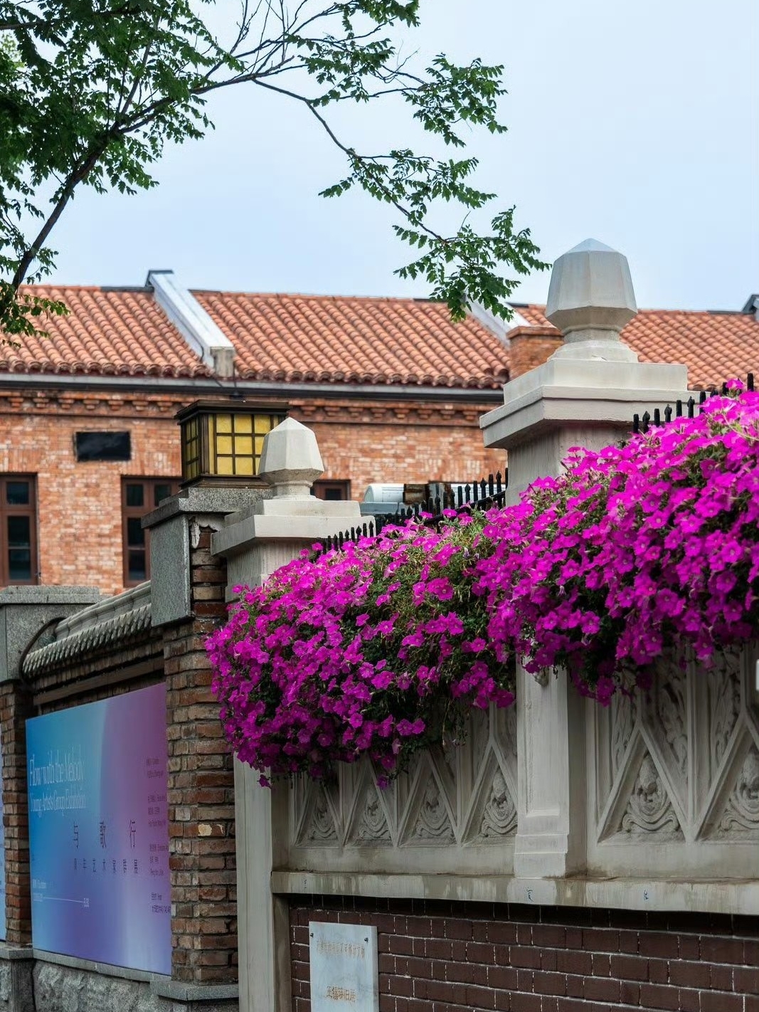 🌸 Five Great Avenues in Bloom | A Stroll Through Old Tianjin