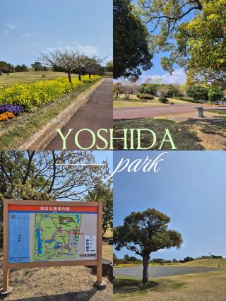 🌿 A Slow Afternoon at Yoshida Park