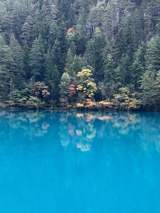[Jiuzhaigou · Tiger Sea] Witnessing the Most Stunning "Sapphire Blue" Waters | Serene Depths, Autumn Reflections, and Our Family Moments.