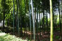 🎑 A Tranquil Escape: 兰亭 in Shaoxing 🌳