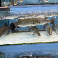 Grand Bayview Seafood @ Danga Bay JB