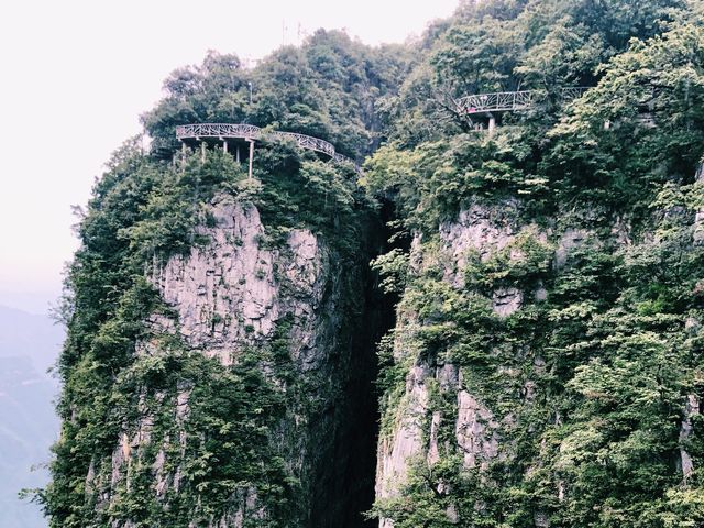 THE CLIFF HANGING WALKWAY😱