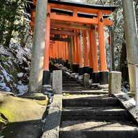 Snowy Kyoto