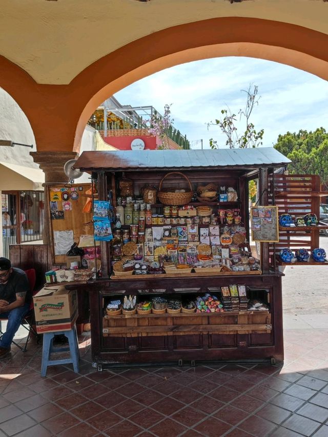 A winery summerhouse near Querétaro 