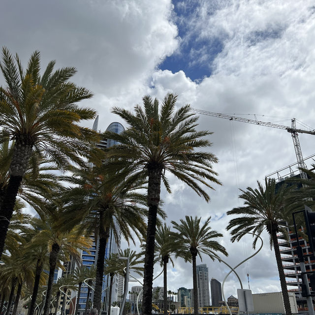 Beautiful & Sunny San Diego! ☀️🌴
