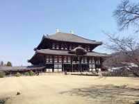 🌿【奈良旅遊亮點｜古都的自然與人文結合之美】