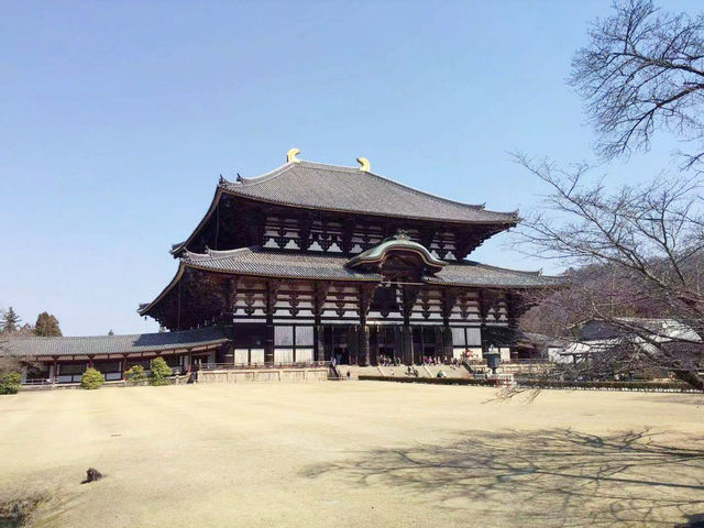 🌿【奈良旅遊亮點｜古都的自然與人文結合之美】