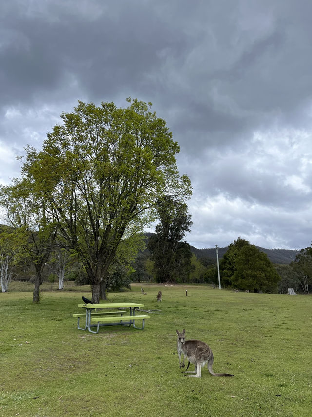 Nature beauty near Canberra