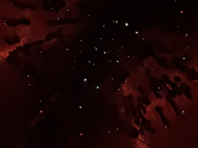 ✨東京【teamLab Planets】沉浸式夢幻藝術體驗｜必去！行入光影與水的世界🪷