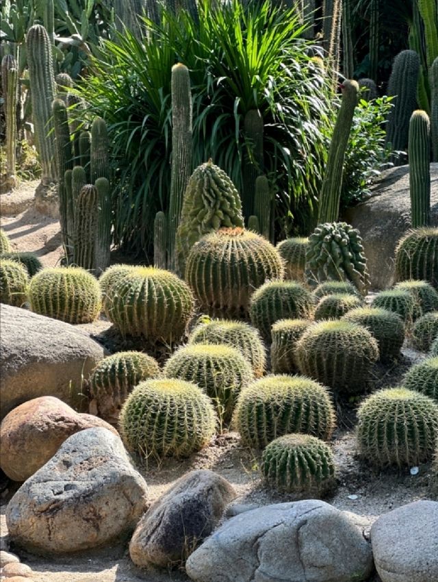 園林植物園綠意濃厚 園林植物園綠意濃厚