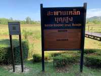 ✨ “Phuket Horizon Journey