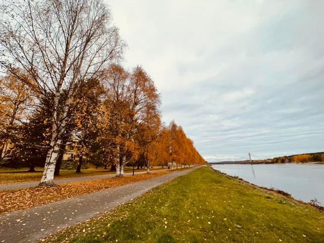 芬蘭🇫🇮景點-凱米河