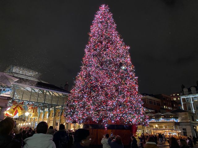 Embracing Christmas Magic at Covent Garden🎄