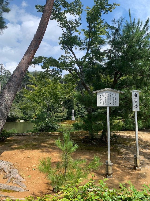 Savoring the Serenity of Kyoto's Kinkaku-ji