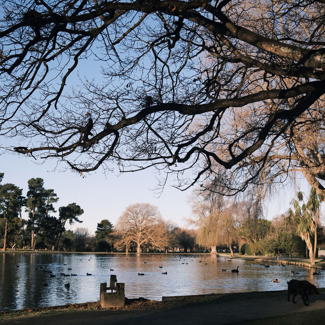 CHRISTCHURCH BOTANICAL GARDEN