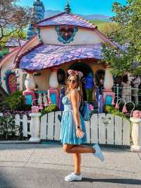  Disneyland Park