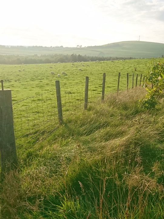 🚴‍♂️ Wild Wales on Two Wheels: Welshpool to Aberystwyth 🚴‍♀️