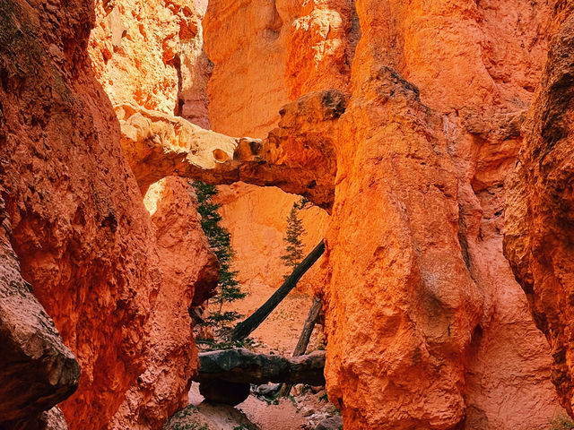 Bryce Canyon National Park – Nature’s Most Magical Theme Park!  