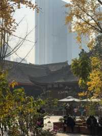 Chengdu Transit Trip – Taikoo Li Vibes & Local Flavors! 🏙️🍜