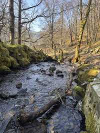 Waterfall in the woods 