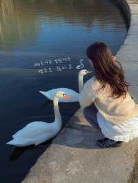 프랑스 소도시 베르사유 즐기는 방법🇫🇷
