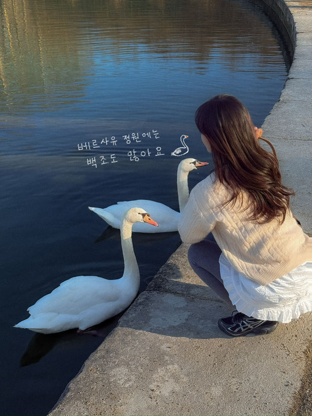 프랑스 소도시 베르사유 즐기는 방법🇫🇷