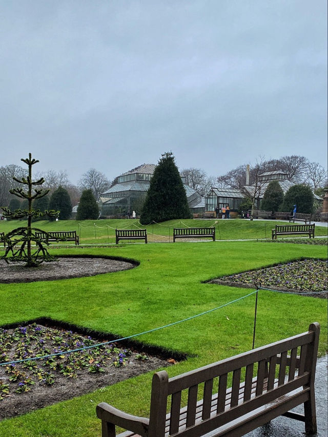 🌿🏰 Glasgow’s Historic & Green Escape: Cathedral & Botanic Gardens