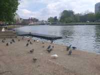 Bedford