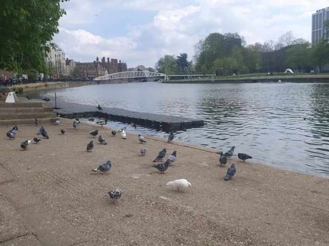 Bedford