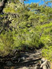 해외여행 칠레 푸에르토 바라스의 Saltos del Rio Petrohue Park