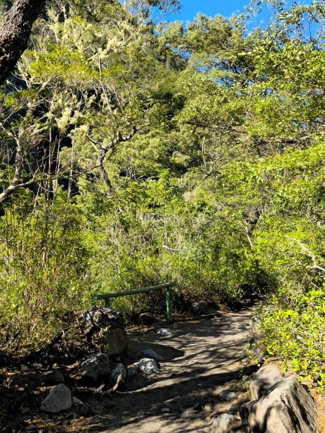 해외여행 칠레 푸에르토 바라스의 Saltos del Rio Petrohue Park