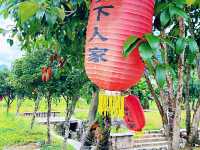 🌿 I Thought I’d Seen Beautiful – Then I Found Yangshuo 🇨🇳