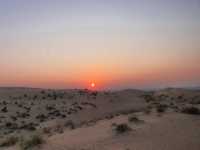 MUST-DO in DUBAI: a DESERT experience
