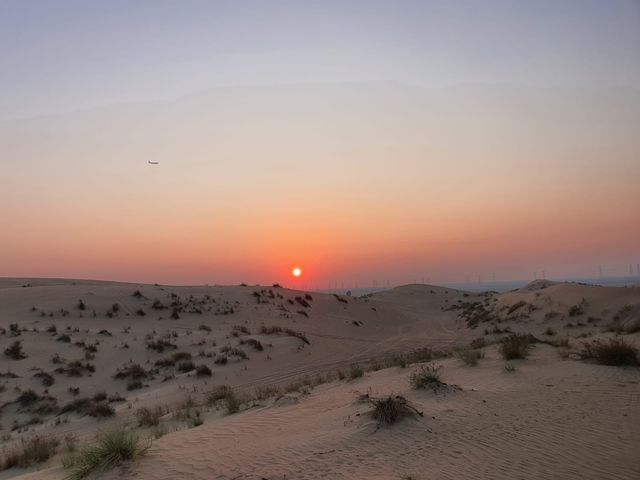 MUST-DO in DUBAI: a DESERT experience