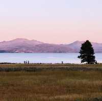 Yellowstone National Park Ultimate Transportation Guide