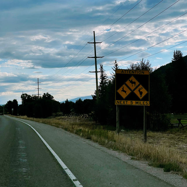 🚗 Grand Teton National Park Transportation Tips: Cruise Through the Mountains in Style ⛰️🛣️