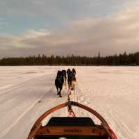 🇫🇮Finland 6-Day Itinerary