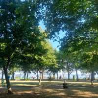 Beautiful Promenade in Siófok Day and Night