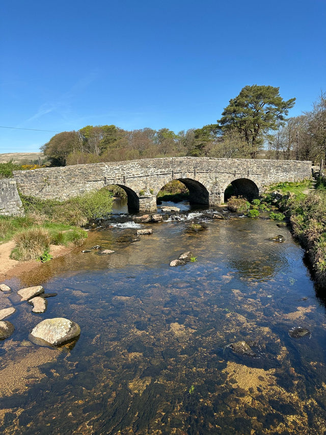 A day at Dartmoor National Park 🌿