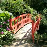 🌿 Botanic Garden of Brittany: A Peaceful Green Escape 🇫🇷✨