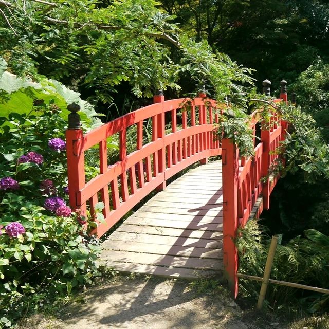 🌿 Botanic Garden of Brittany: A Peaceful Green Escape 🇫🇷✨