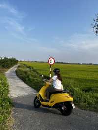 MISS HOI AN CAFE-paradise in the rice fields 