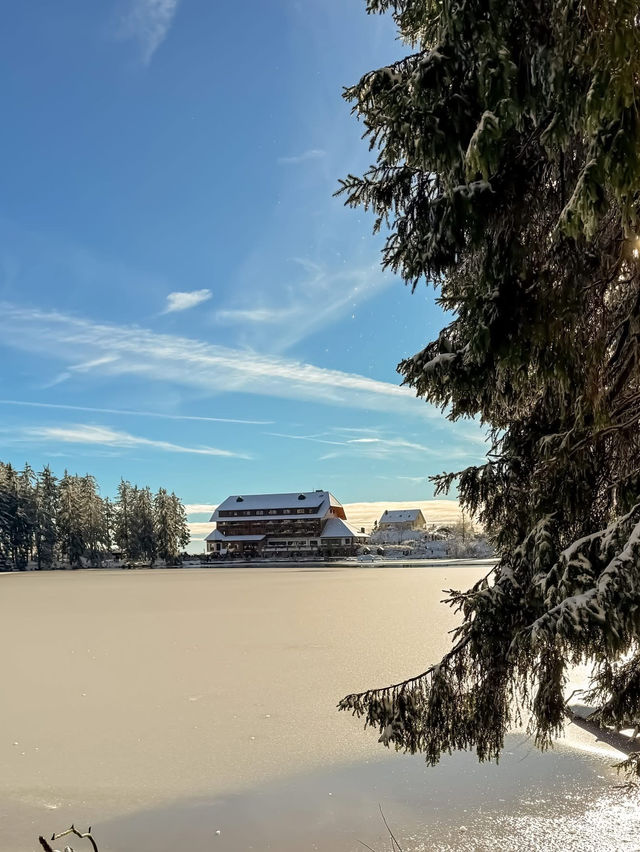 A magical escape to Mummelsee — the Black Forest’s hidden gem 🌲