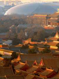 Walking with Emperors — A Day in the Forbidden City