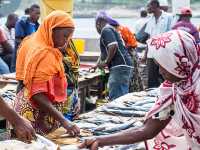 Dar es Salaam in 3 Days – Island Escapes, Local Eats & Art Vibes!
