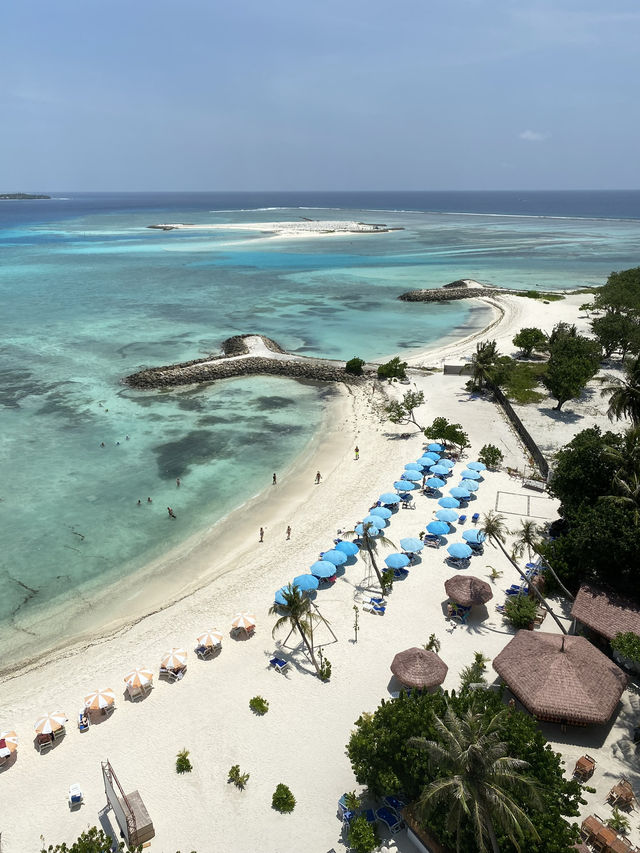 Why Maafushi Is the Perfect Island to Meet Travelers and Stay Social