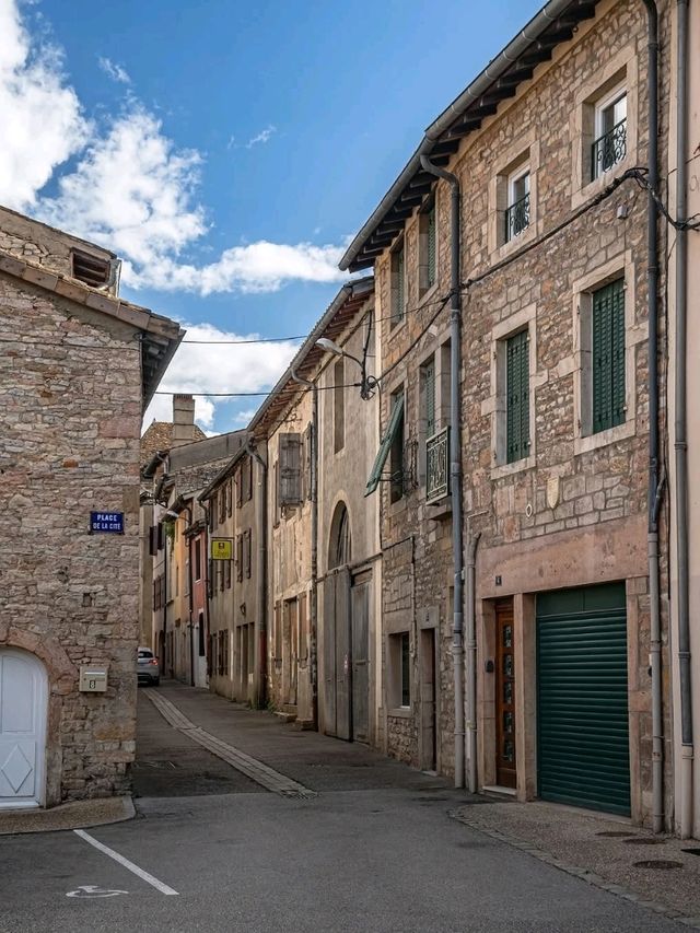 🕍🍇 “Quiet Grace by the Saône: A Peaceful Day in Tournus” 🇫🇷