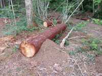 Dewstow Estate Caldicot, Highmoor Hill and Slade Wood 