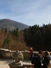 🏰 Peleș Castle – A Fairytale Fortress in the Heart of the Carpathians